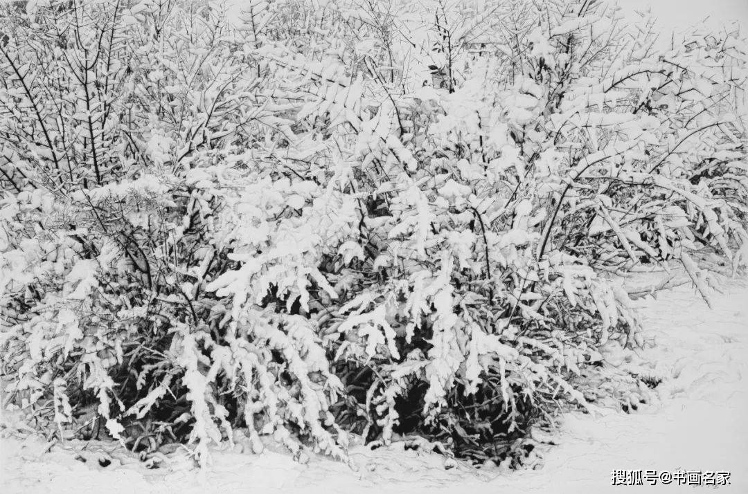 [艺术中国]——刘国光的钢笔画