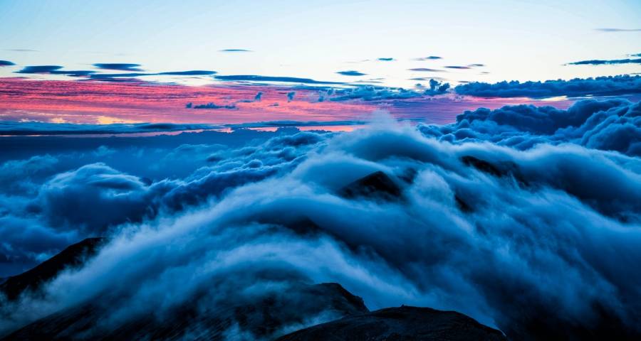 对于线上直播带货，不少家电企业还藏着一个小秘密！-家电圈官网