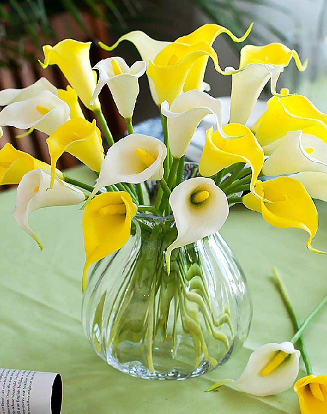 马蹄莲盆花无土栽培技术