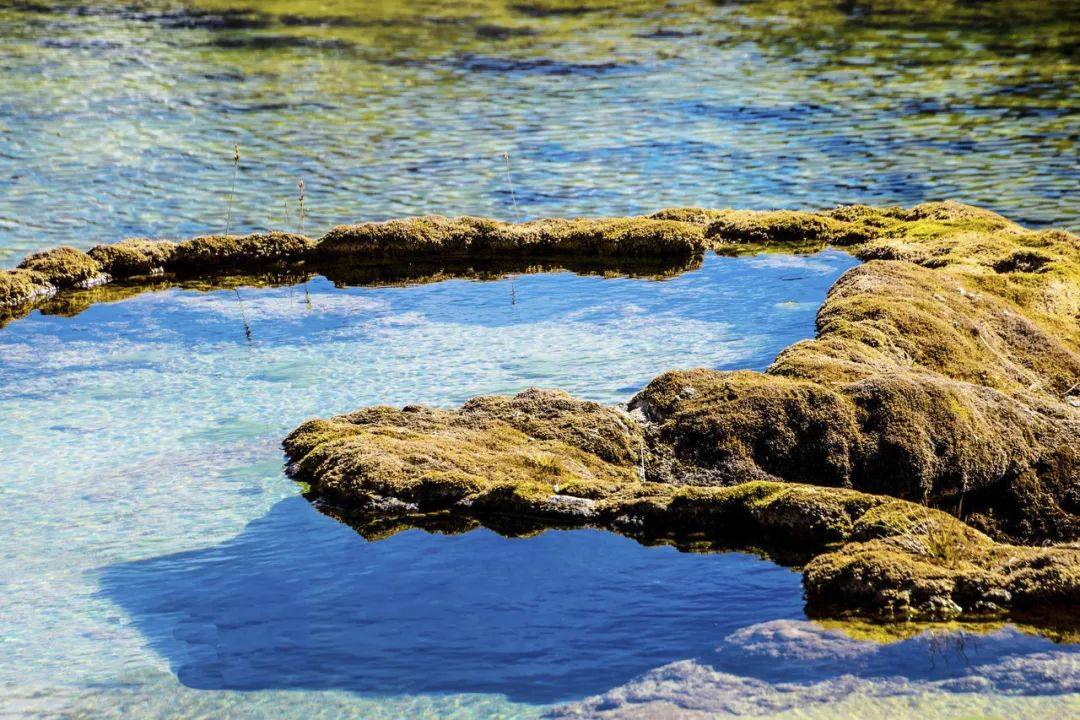 水比九寨,胜似黄龙!川西这个最隐秘的奇观,你造吗?思鹿旅行