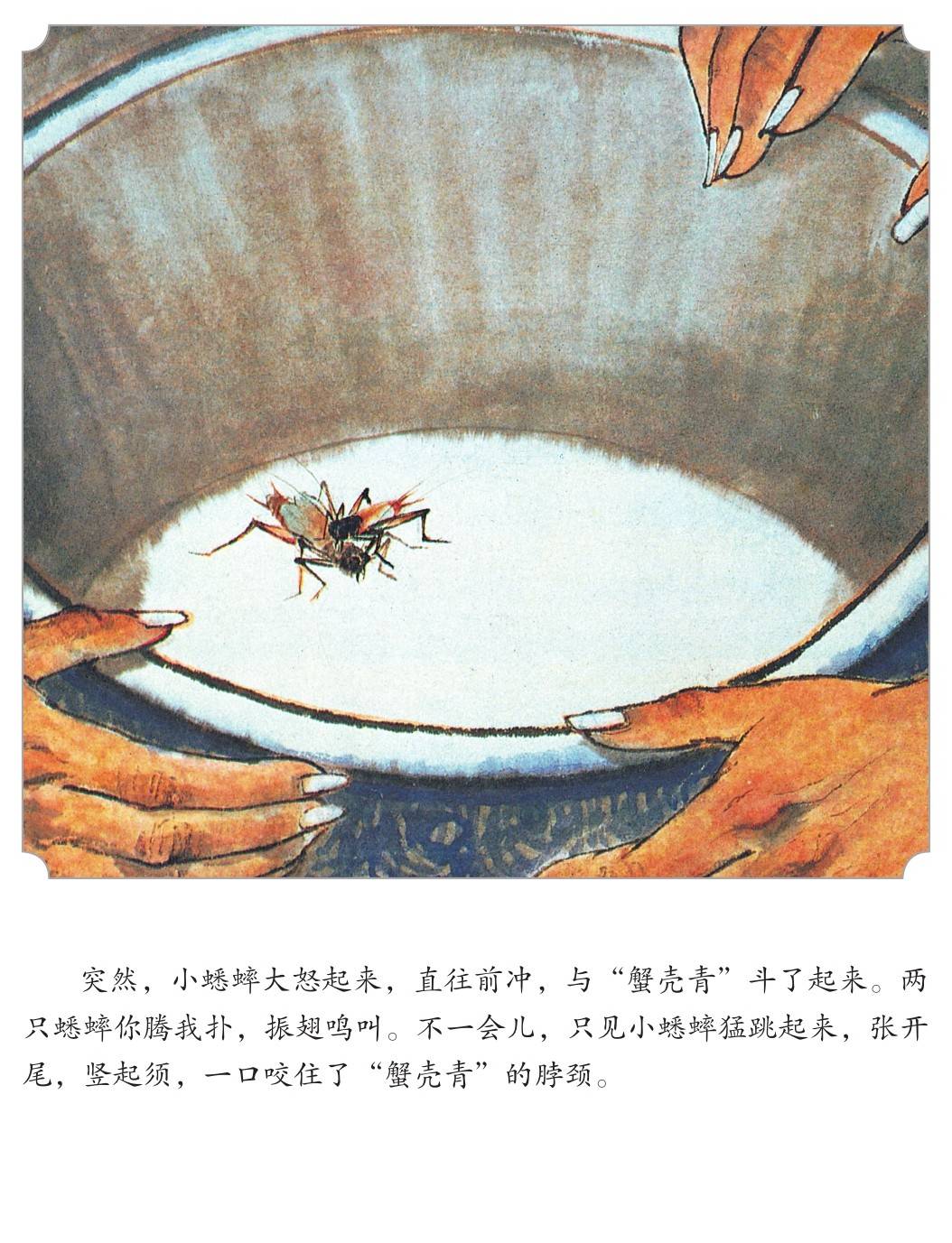 蟋蟀故事忆虫王图片