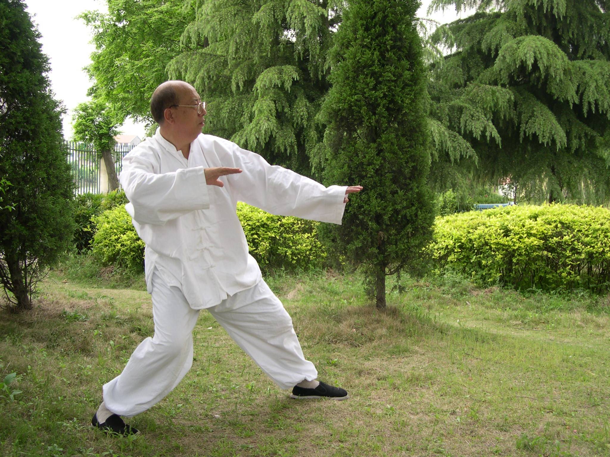 【江叔龙】太极拳照.