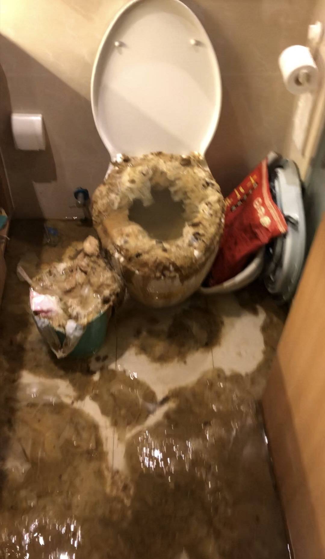 卧槽下水道堵塞,24户邻居的排泄物全部涌到自家来