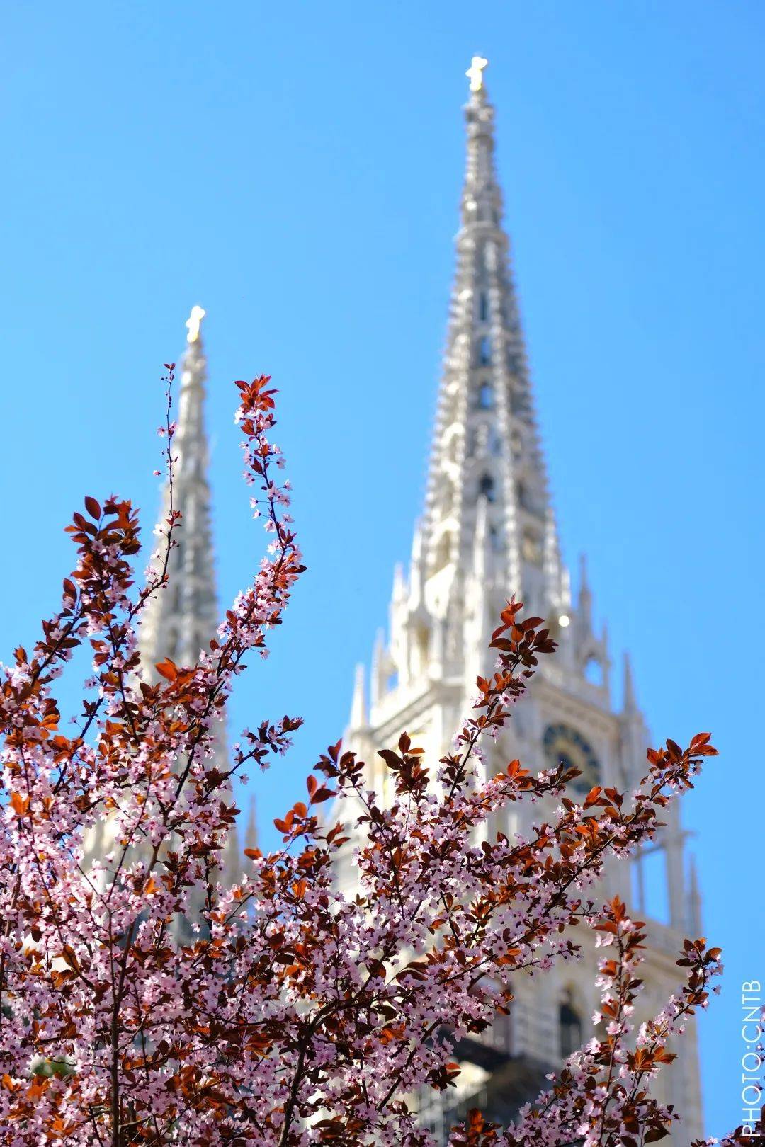 萨格勒布特辑 | 走进克罗地亚之心