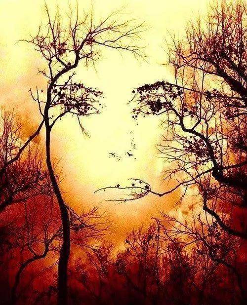 你第一眼看到的是什么?答案准的揪心