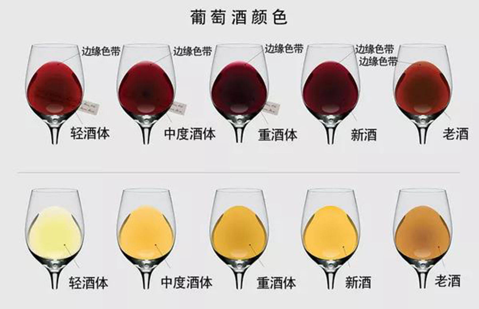 为什么喝酒前大家都会45观察葡萄酒