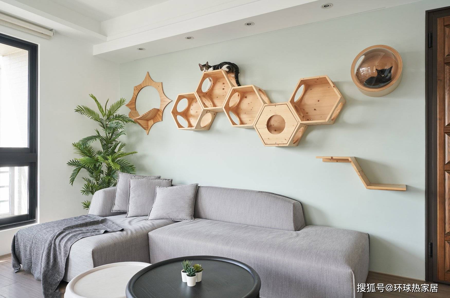 设计师将猫咪生活动线纳入主要考量,构筑夫妻俩与猫咪们的共享空间