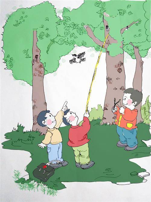 老农道出5点原因_知了