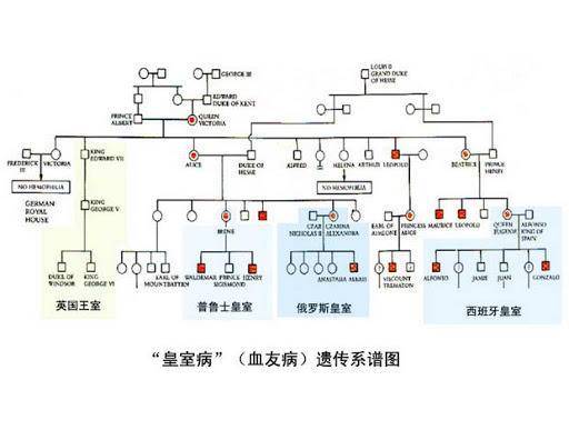 血友病其实是一种隐性基因,但由于欧洲皇室近亲结婚比较常见,使得隐性