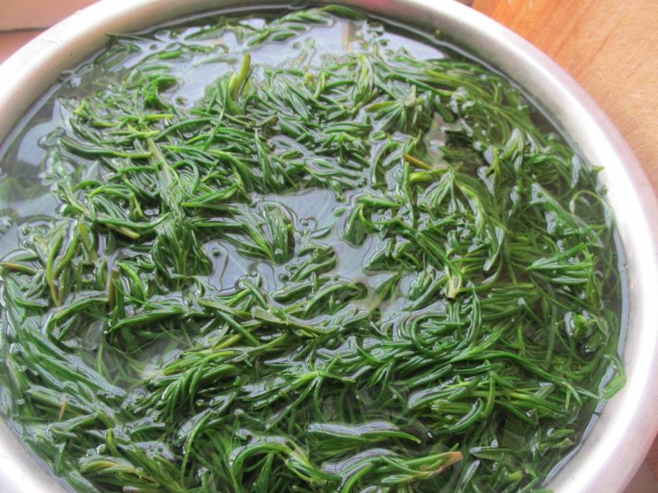 此菜遇见了,这样一次囤10斤,凉拌做馅都好吃,随吃随取特方便_黄须