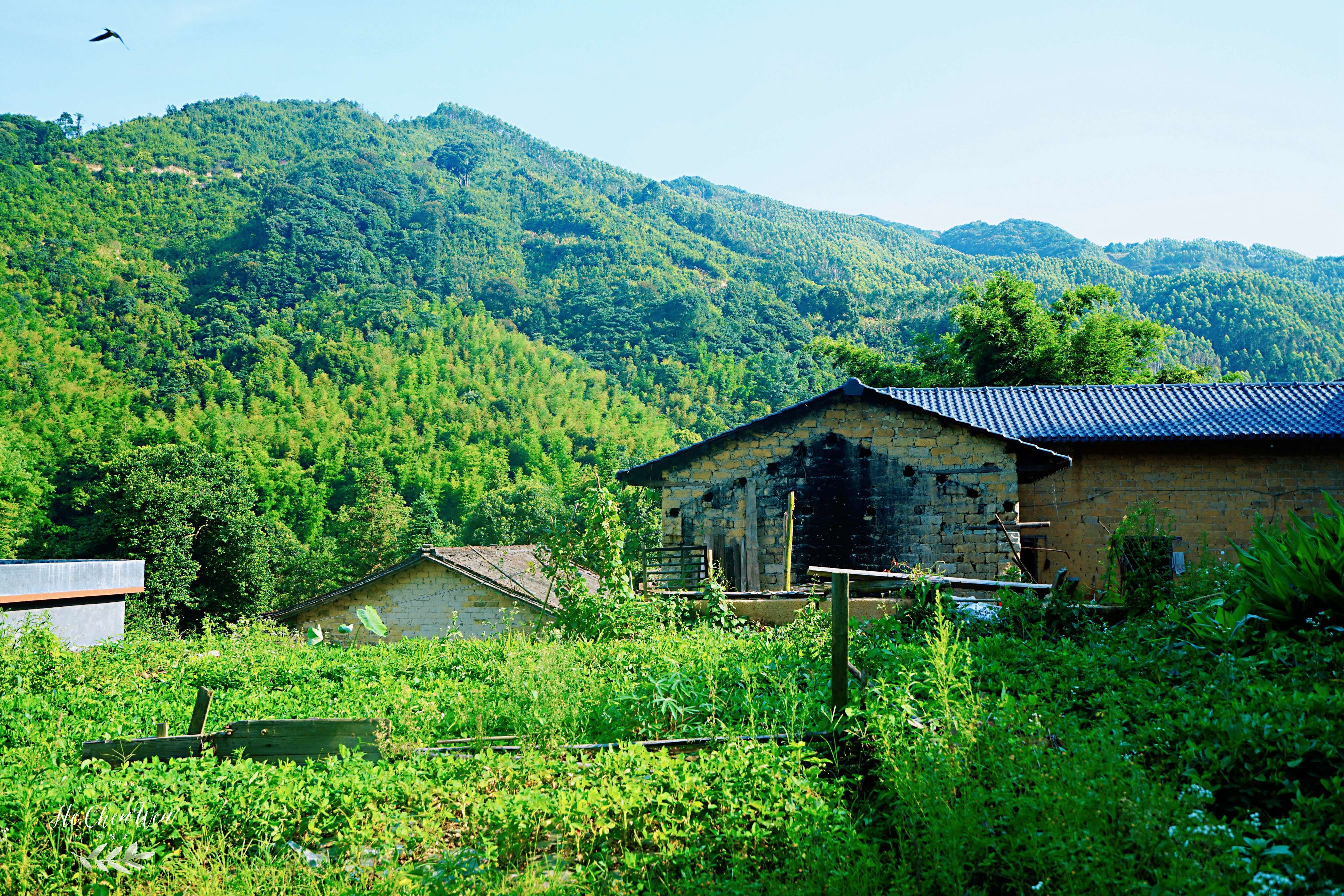 广东的一个小山村,风光秀丽,人杰地灵,更是避暑天堂