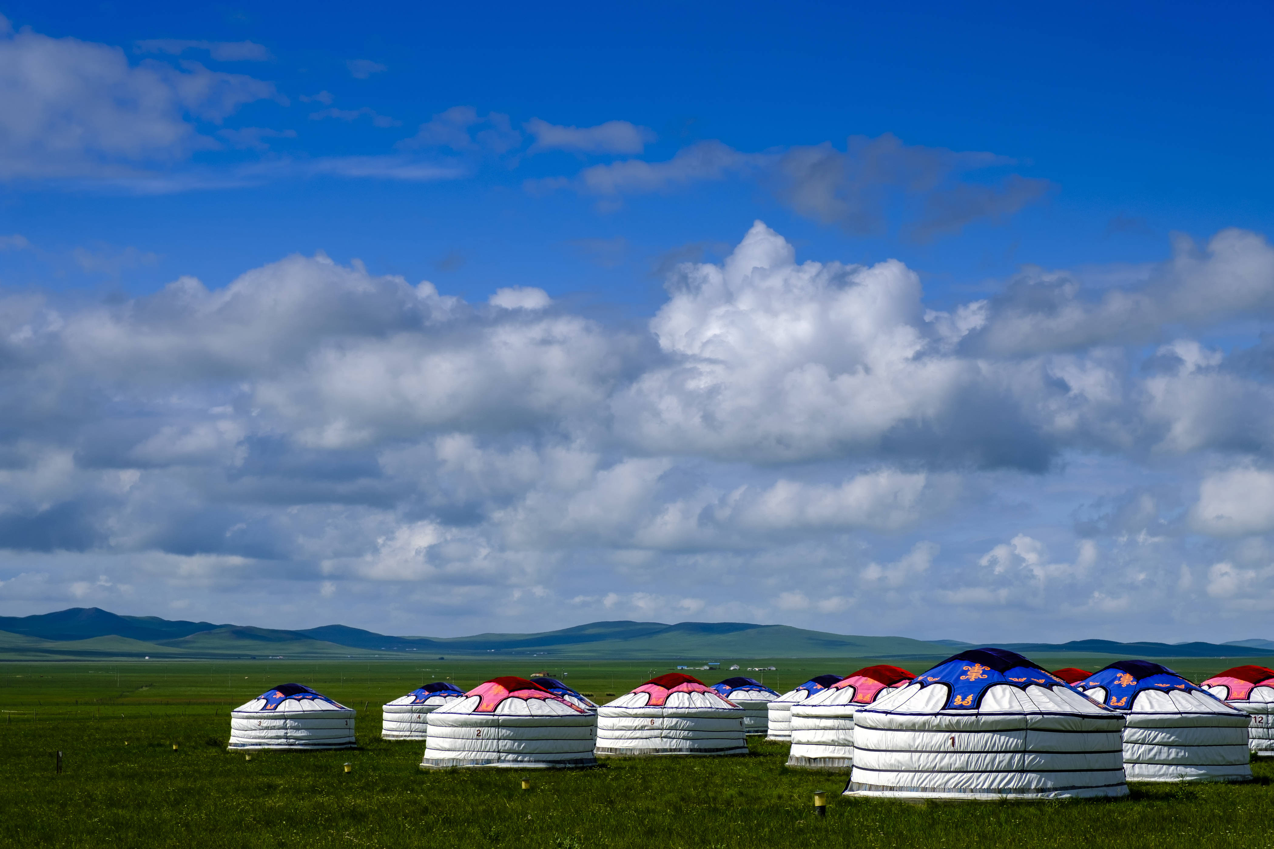 暑假还去呼伦贝尔这里同为最美四大草原游客少玩得好