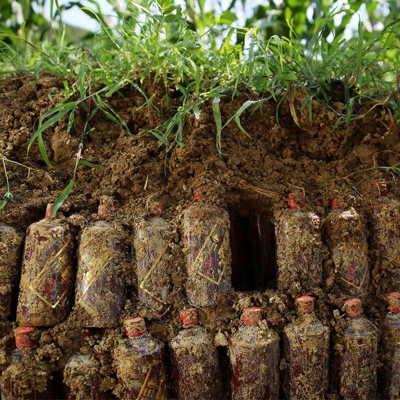 酒以陈为香,这几大储存白酒的误区,你中招了吗?_酒糟