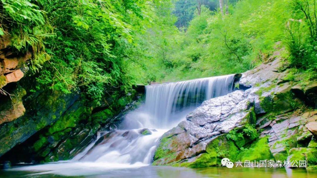 103761六盘山清凉避暑地推荐,你还不走起?_野荷谷