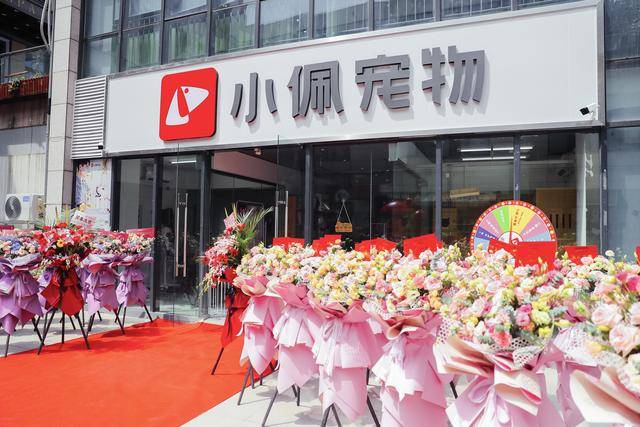 灵魂伴侣抚慰心灵小佩宠物