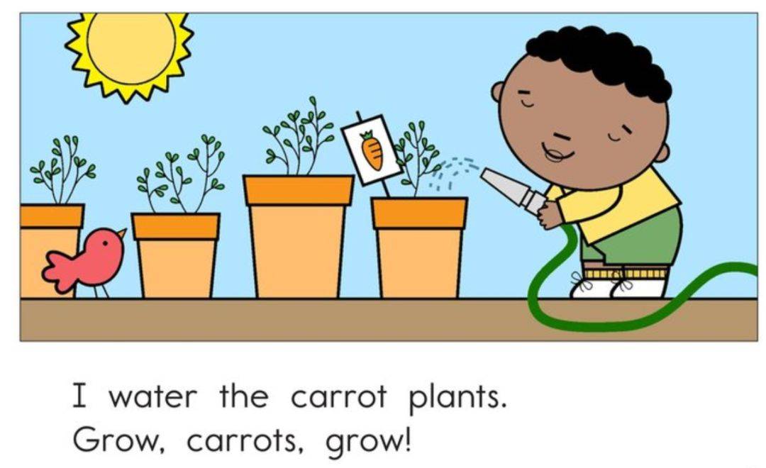 伴读| raz d:grow, vegetables, grow_grow