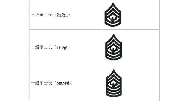 海军陆战队jrotc 学员士官军衔.返回搜狐,查看更多