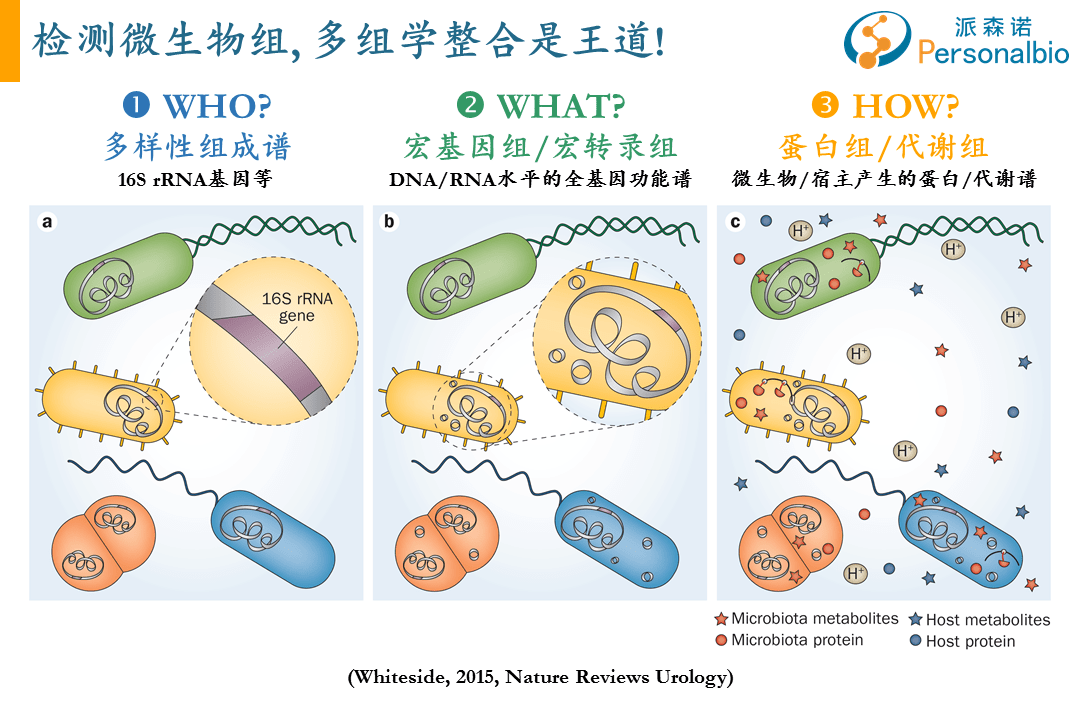 微生物组研究多组学整合关联是王道