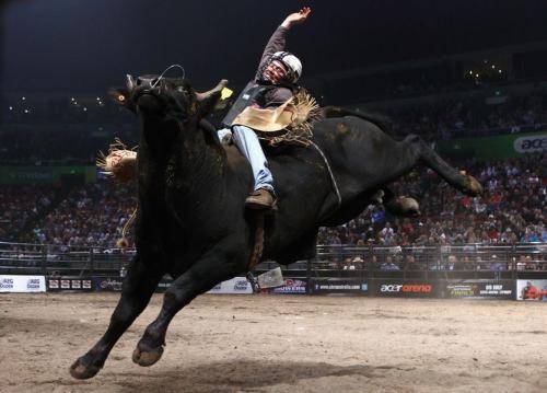 实盘第七十三天:盈利9874净资产47164,天天切换主题_凯撒