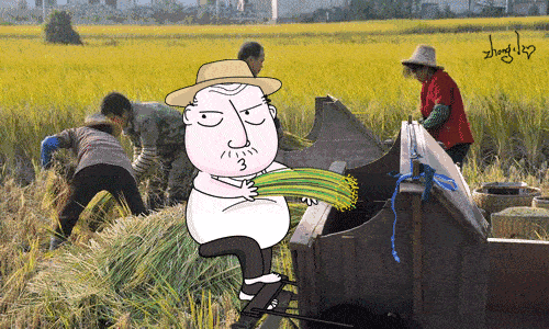 500_300gif 动态图 动图