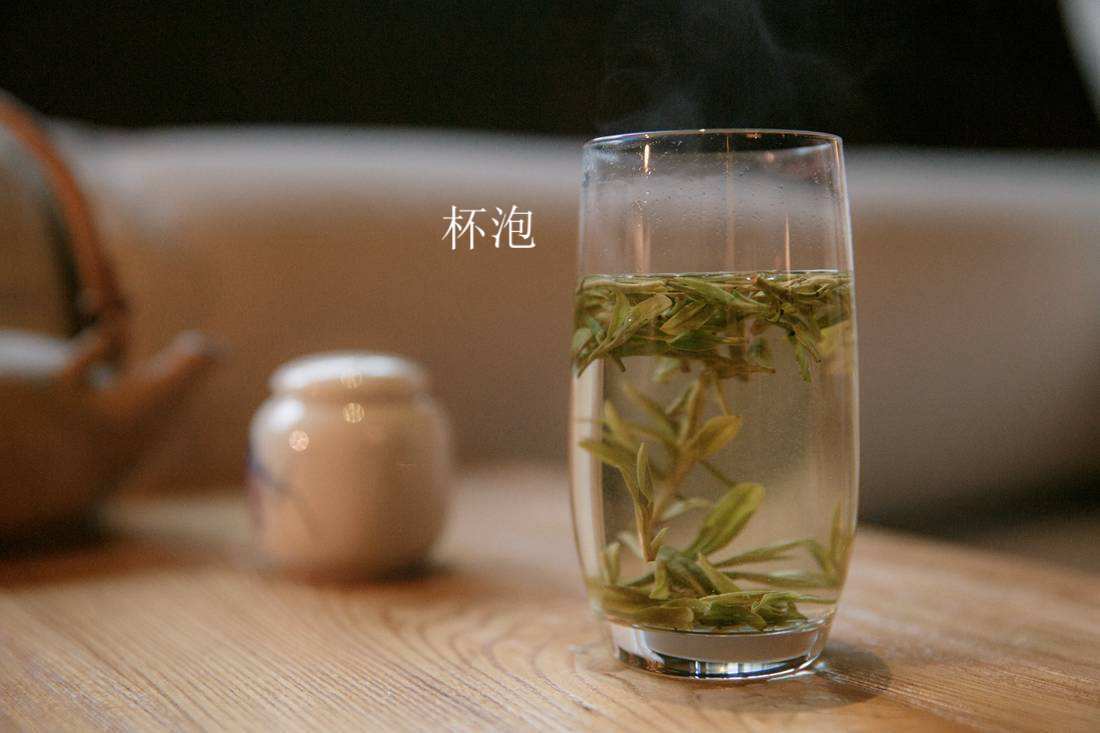 如何泡好白茶?道哥簡單講解3個泡法:杯泡,蓋碗泡,壺煮法!記好了!