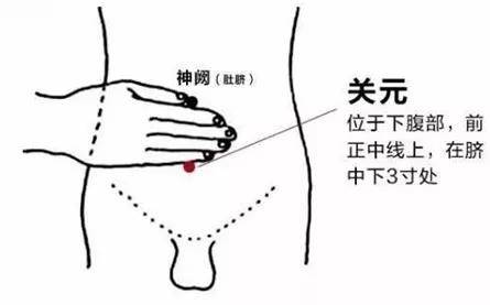 足三里,大椎,关元穴的用法