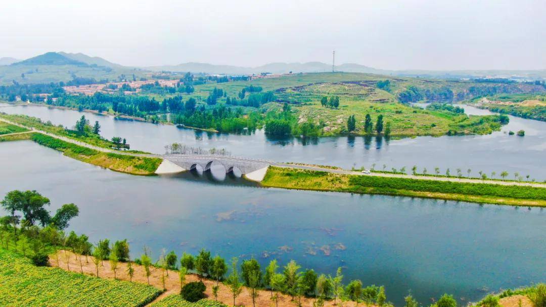 又一绝美花海!20万株向日葵齐盛开!还有600年古村免费看!_桑园镇