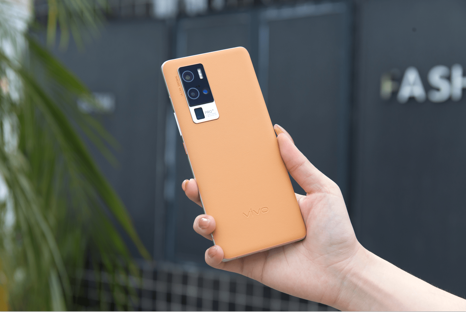 vivo x50 pro 美图欣赏!感受专业影像旗舰的魅力