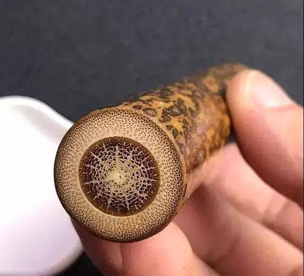 竹木牙角,竹在先——实心竹