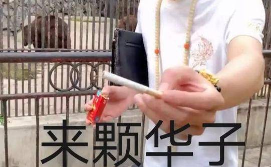 原创抖音上的李会长火了你身边也有街溜子吗