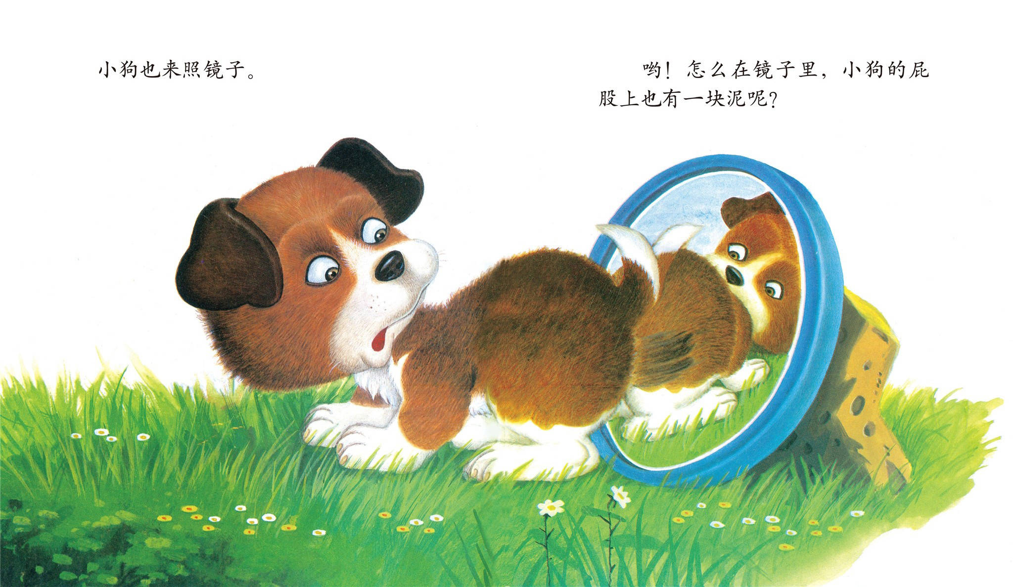 儿童绘本故事推荐《圆圆的镜子》