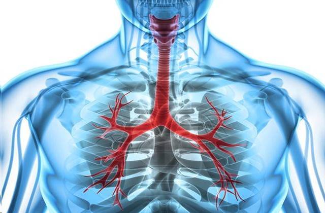 老中医透露:慢性支气管炎不要再忍!用这几物泡水,炎症消得快_症状