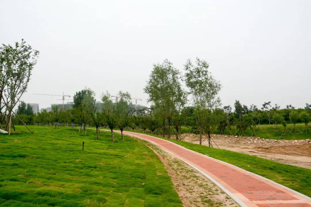 潍坊金山街龙山路改造提升,白沙河张面河整治,老旧小区改造