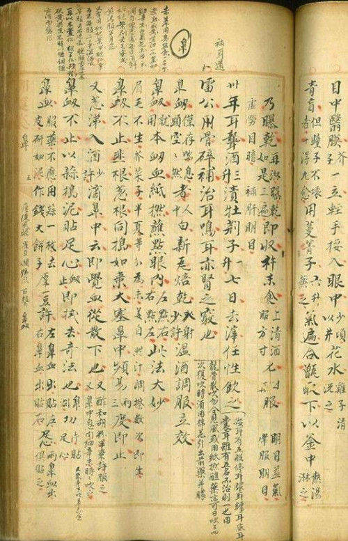 200年前一位清代御医手稿,价值高达2.1亿元,字迹让现代医生汗颜