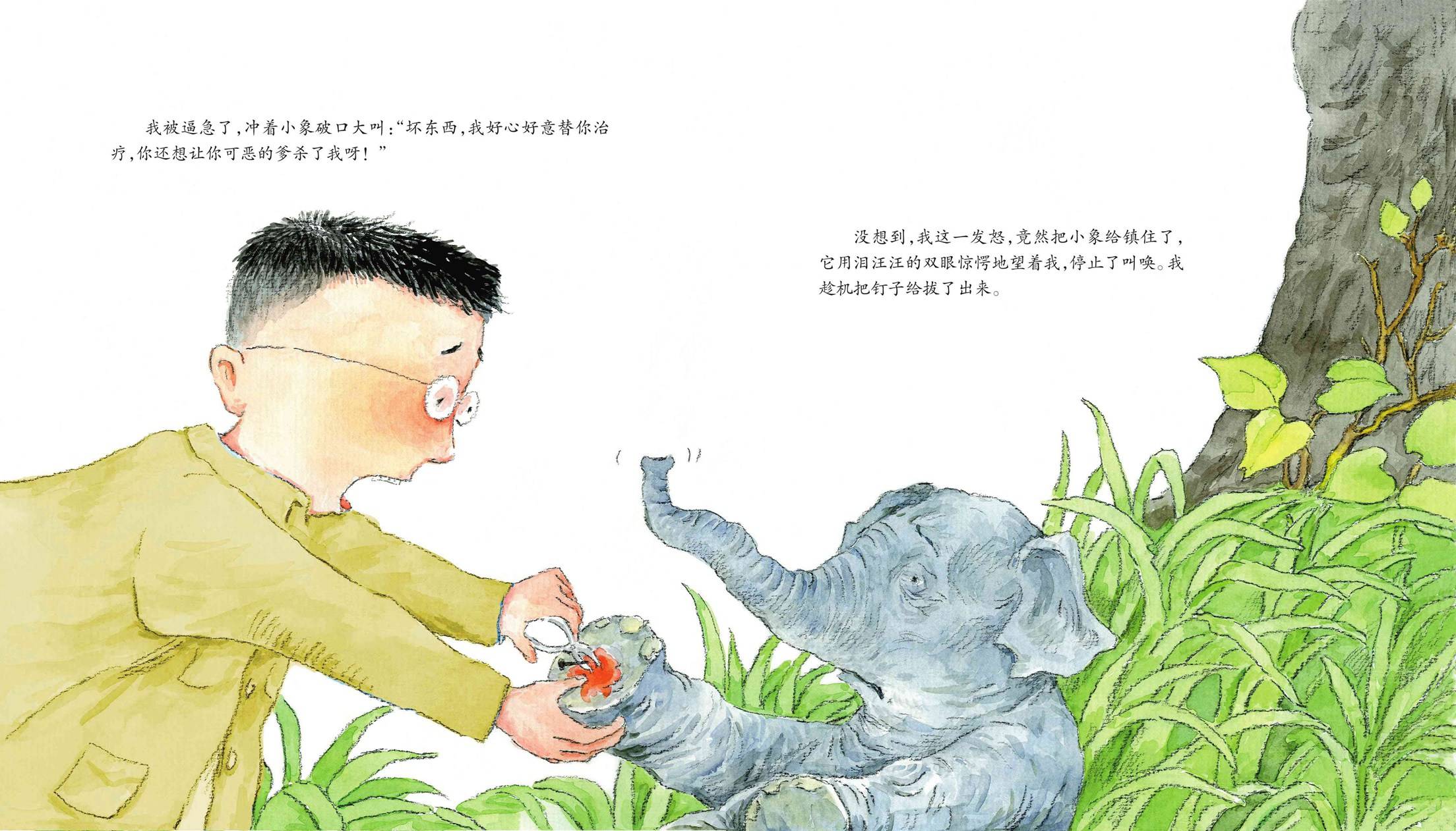 儿童绘本故事推荐《给大象拔刺》