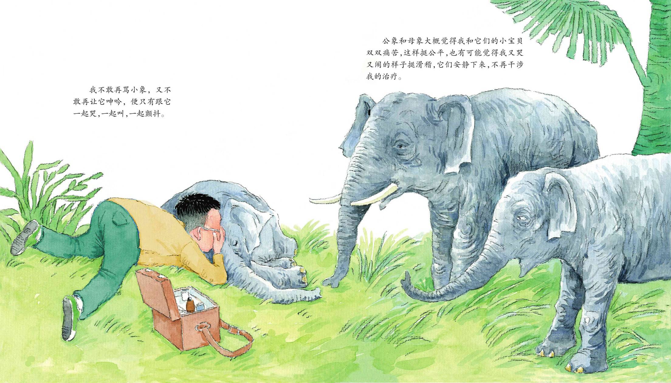 儿童绘本故事推荐《给大象拔刺》