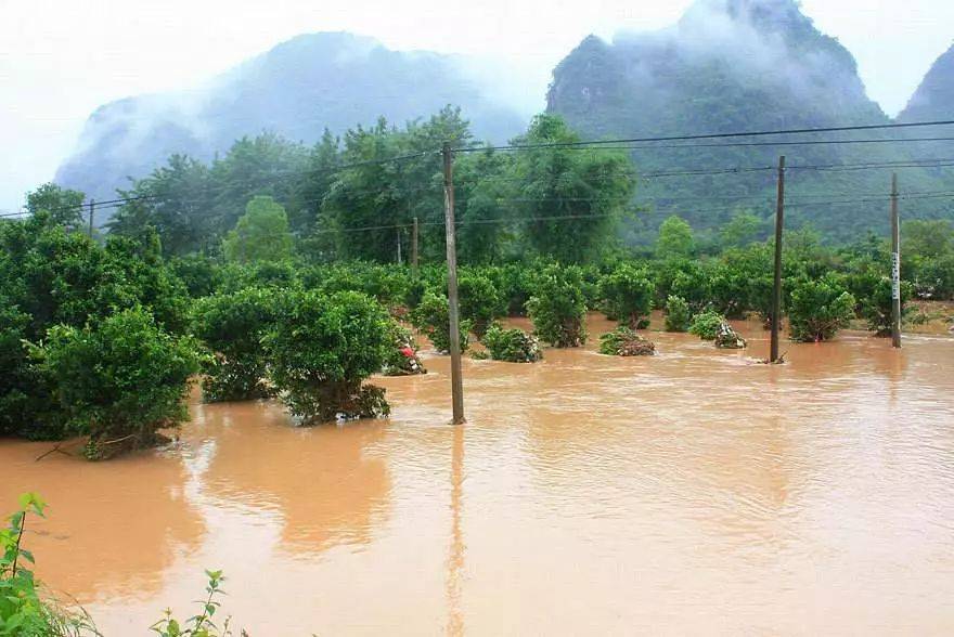 水灾对果园产生重大影响灾后应如何补救