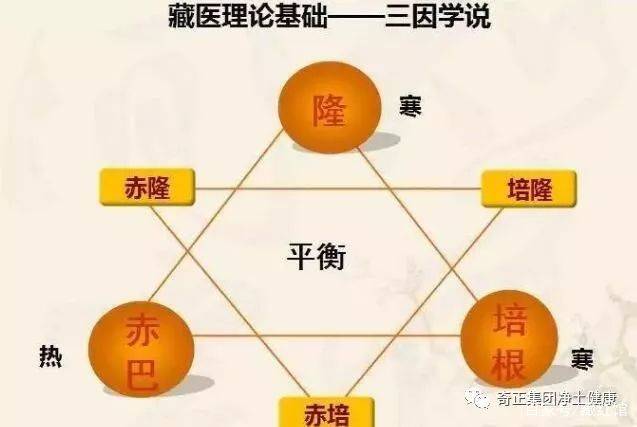 经过宇妥·云丹贡布的研究与整理,三因学说在《四部医典》中得到
