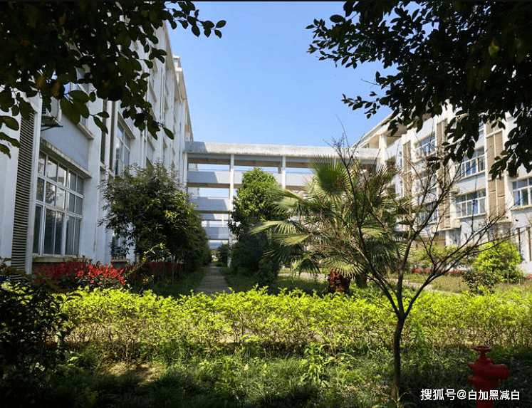 重庆职业幼师专业学校_重庆幼师职业学校_重庆幼师职业学校怎么样