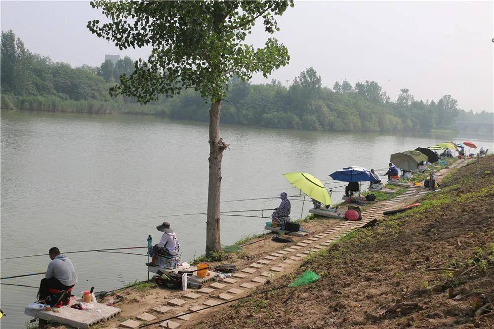 太白湖钓鱼图片