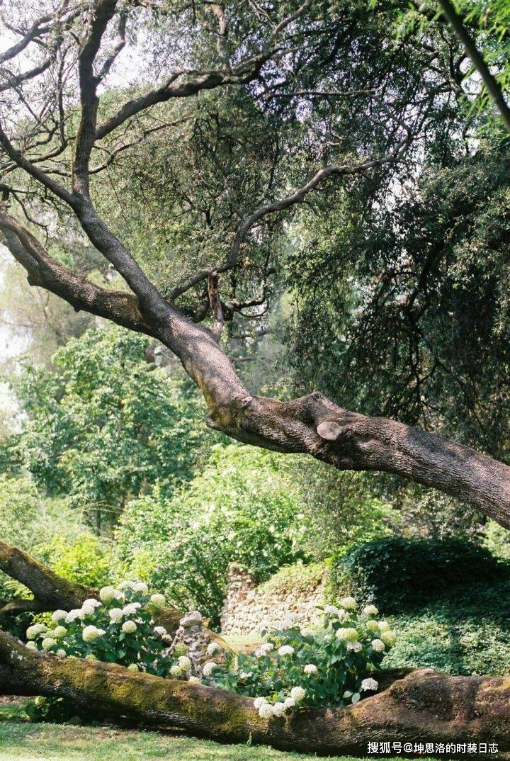 真人间仙境仙女的花园丨宁芙花园