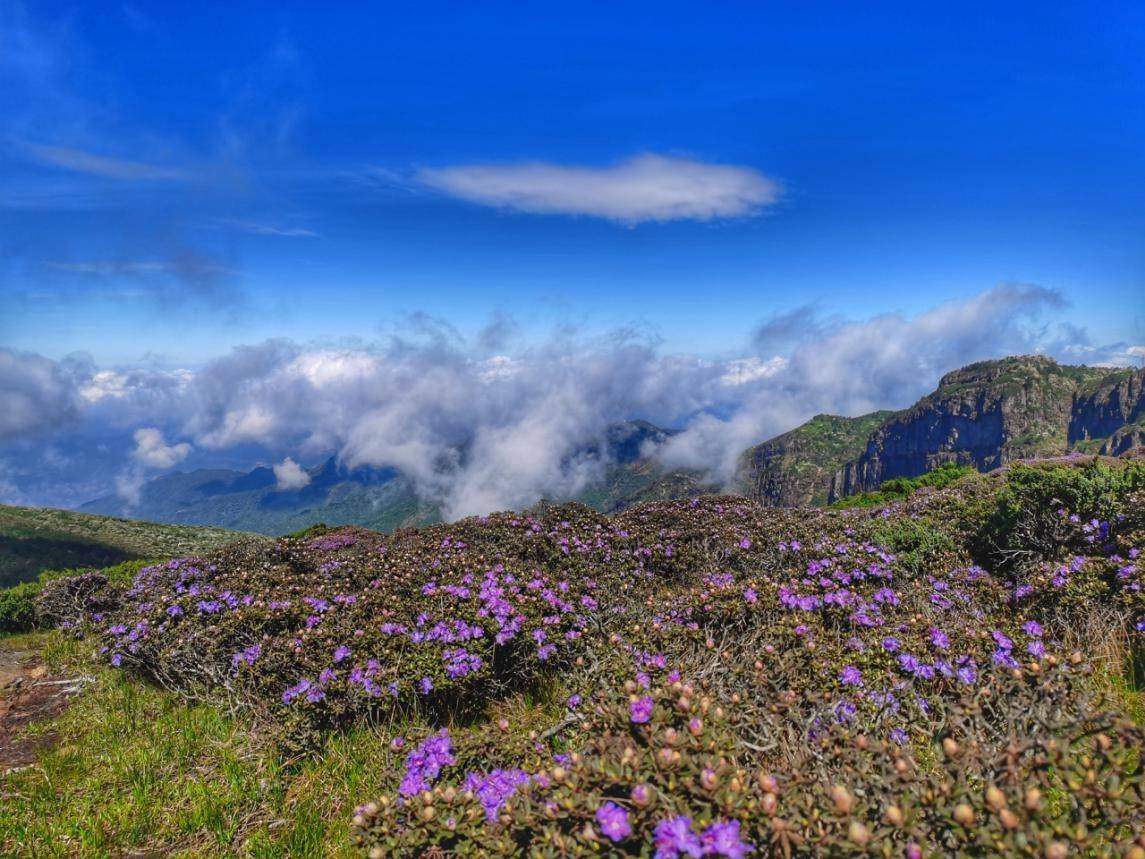 一起爬山吗?轿子山!_手机搜狐网