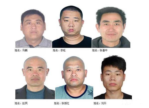 已抓捕17人!商丘警方公开征集赵发展等人涉恶犯罪线索