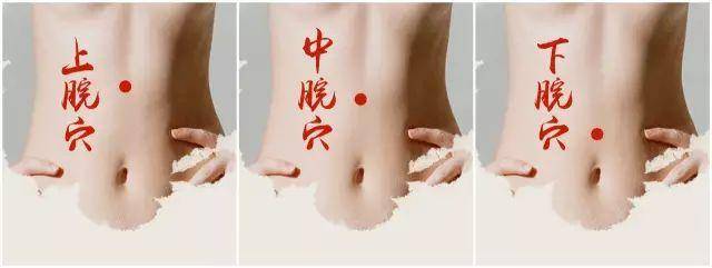 总之,既可养护脾胃,又可辅助消