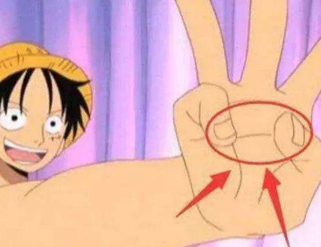 手已抽筋,海贼王中最难的五个手势,明哥的动作能让手残疾_手指