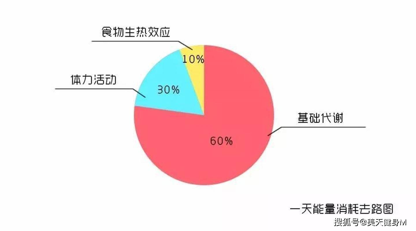 一般情況成年的男性基礎代謝在1400-1800大卡之間.