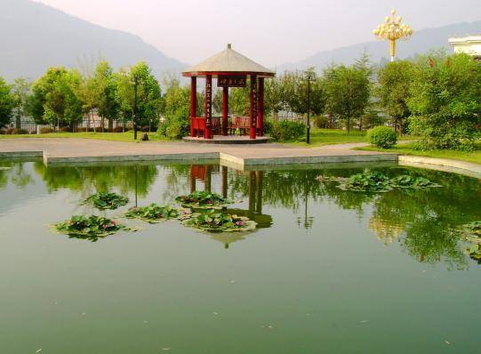 原创四川德州这5所高中,优秀考生争相报考,你知道原因吗?