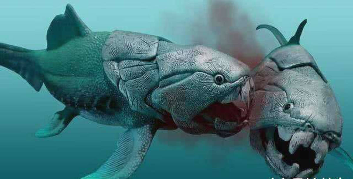 奇闻:邓氏鱼,没有天敌的生物,咬合力达5吨,能将岩石咬成粉末