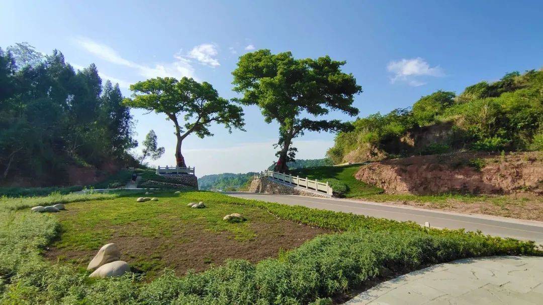 唤醒乡村资源 | 简阳·平武镇_手机搜狐网