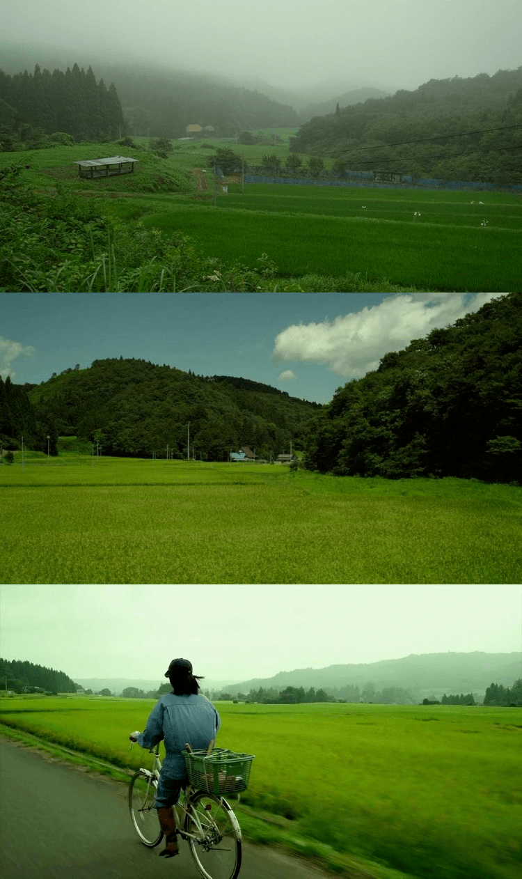原来,烟台夏日 "小森林" 就在这里!